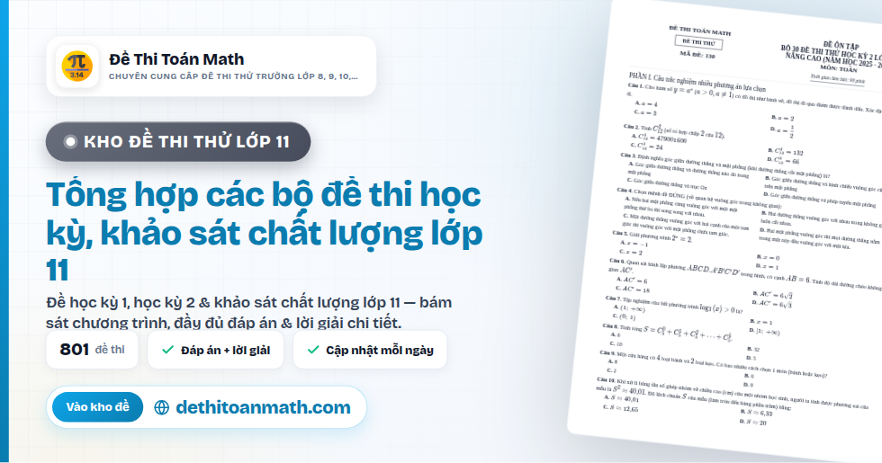 Tổng hợp các bộ đề thi học kỳ, khảo sát chất lượng lớp 11